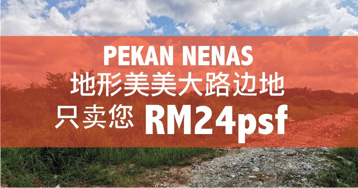 Pekan Nenas 8 acres Agricultural Zoning Residential land for Sale